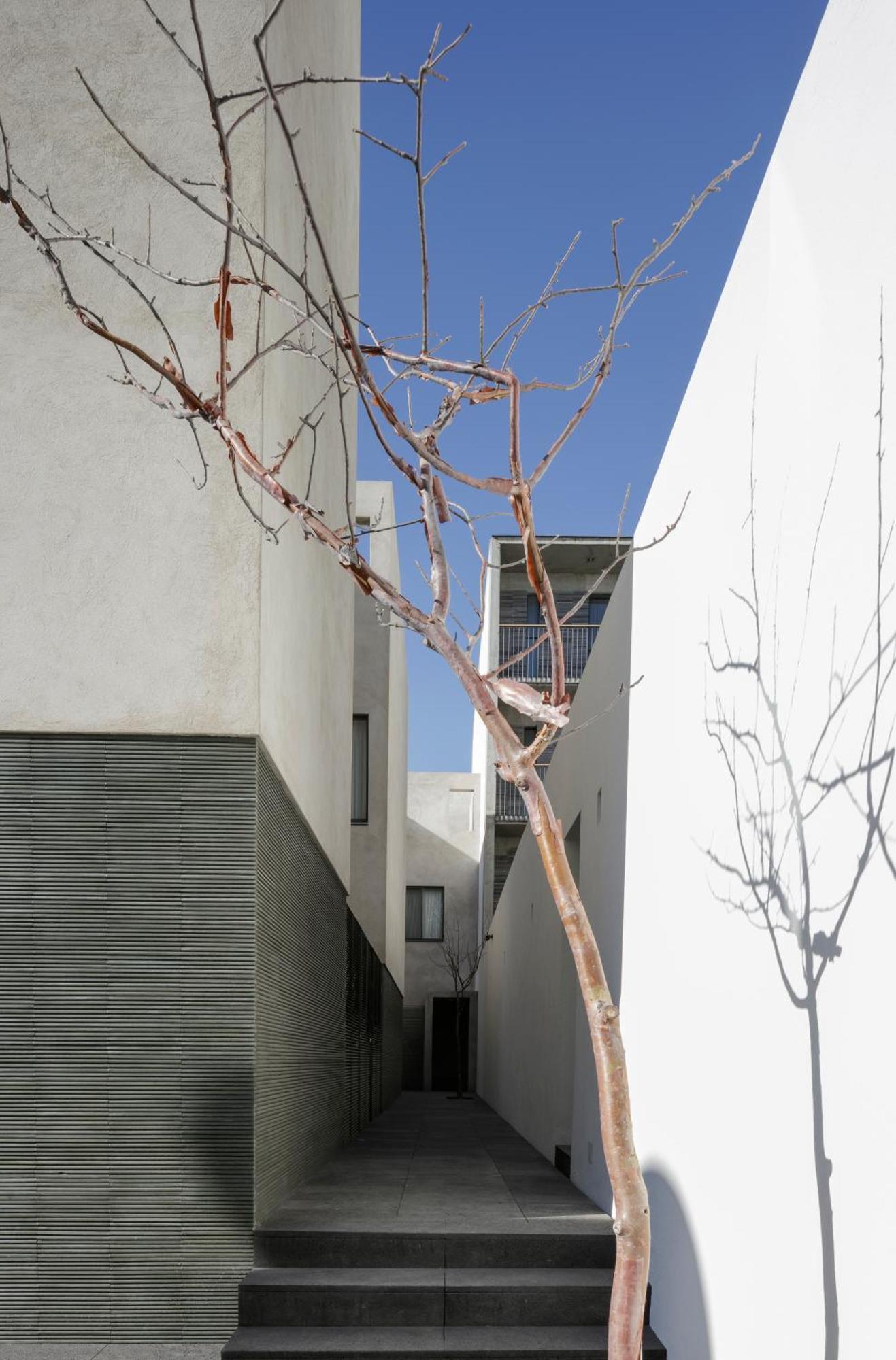 Suites Everness Guadalajara Eksteriør bilde